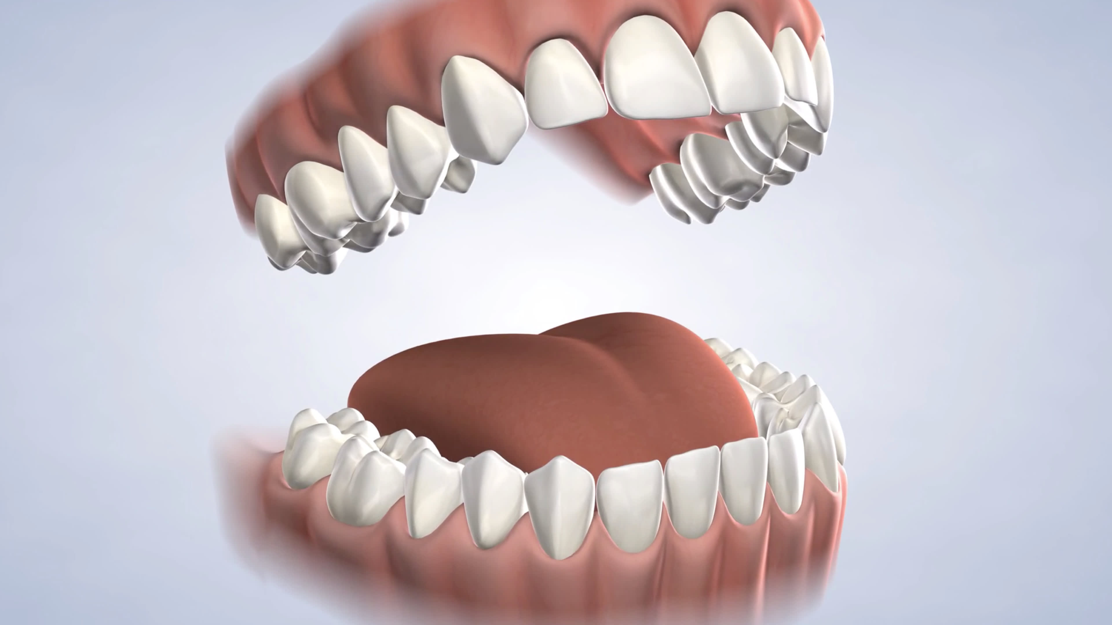 Illustration of a full mouth of teeth